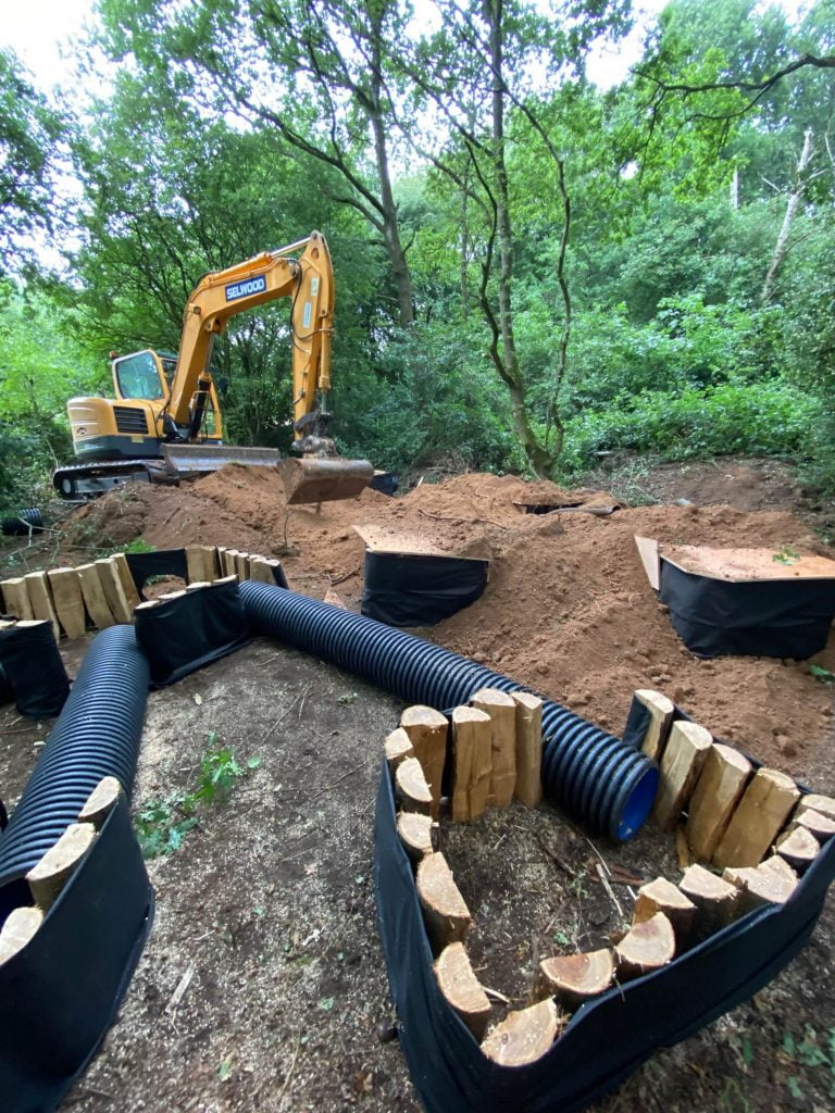 badger sett closure licence