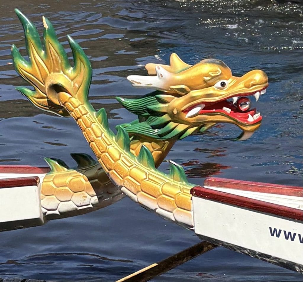 LAMBS OVERBOARD REIGN SUPREME AT BIRMINGHAM HOSPICE DRAGON BOAT RACE 2026 6 LAMBS OVERBOARD REIGN SUPREME AT BIRMINGHAM HOSPICE DRAGON BOAT RACE 2026